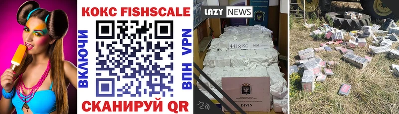 КОКАИН Fish Scale  Купить закладки  Янаул 