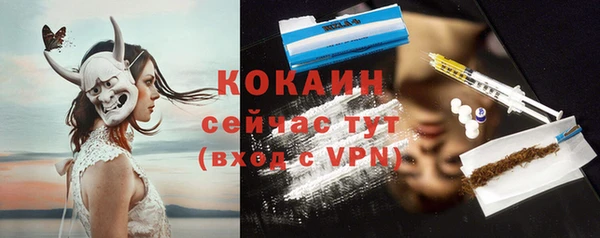 хмурый Касимов